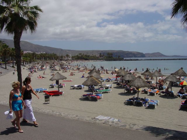 Playa del Camisón near Arona